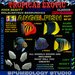 Second Life Marketplace - TROPICAL FISH ANGELFISH SCULPTY MAP & TEXTURE SET